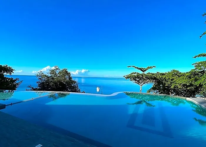 Virly'z View